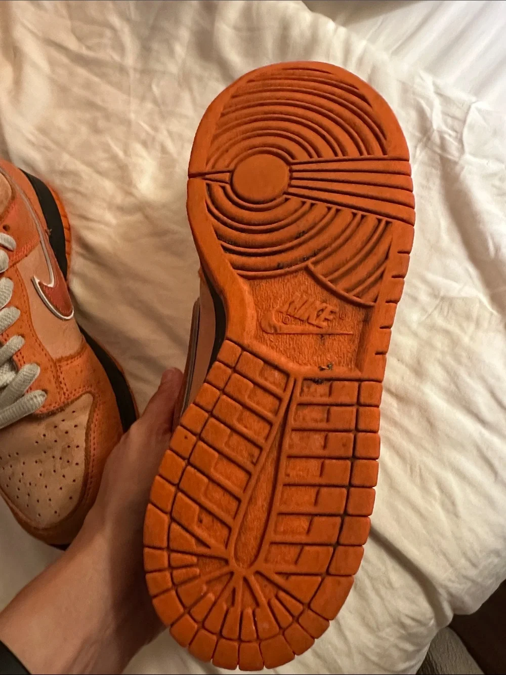 Nike SB Dunk Low Orange lobsters Low-Top Sneakers - Picture 10 of 16